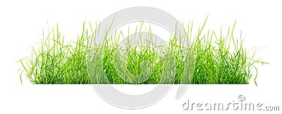 Clump of grass isolated Stock Photo