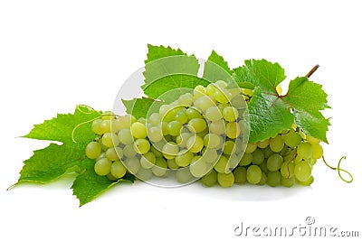 Cluster of ripe, green grapes. Stock Photo