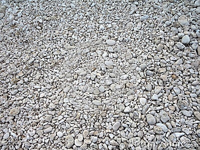 Cluster of Small White Coral rocks Stock Photo