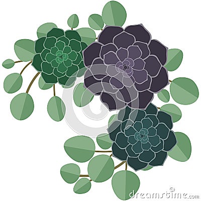 Succulents and Eucalyptus Illustration Vector Illustration