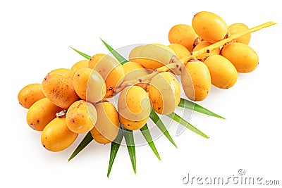 Cluster of yellow fresh dates, or date palm fruits lie on palm leaves isolated on white background. File contains clipping path Stock Photo