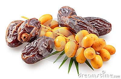 Cluster of yellow fresh dates, and semi-dried dates isolated on white background. File contains clipping path Stock Photo