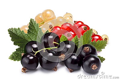 Clusters (bunches) of red,white and black currants together Stock Photo