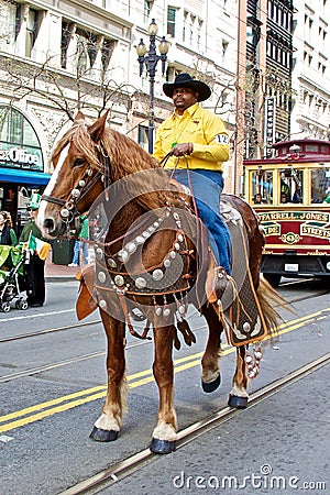 Clydesdale at San Francisco St Patrick's Parade Editorial Stock Photo