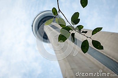 CN Tower in Toronto, Canada Editorial Stock Photo