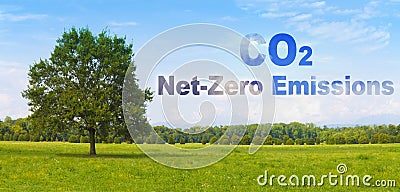 CO2 Net-Zero Emission concept against a forest - Carbon Neutrality concept - 2050 According to European law Stock Photo