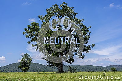 CO2 neutral written on a tree trunk, carbon neutrality concept Stock Photo