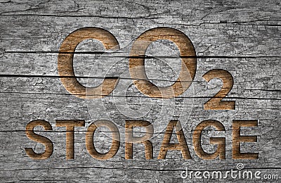 Co2 storage text in wood natural storage of carbon dioxide emission Stock Photo