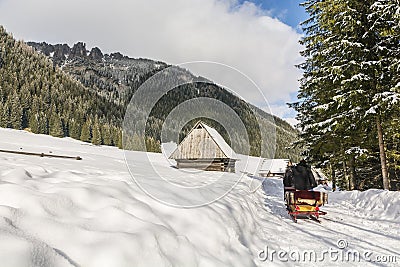 Coachman carriage sleigh. Editorial Stock Photo