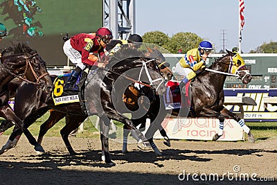 Coal Front With Jockey Mike Smith Editorial Stock Photo