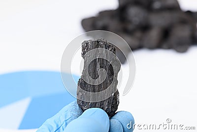 Coal lump in scientist hand. Laboratory coal analysis Stock Photo
