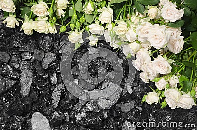 Coal stone white roses background Stock Photo