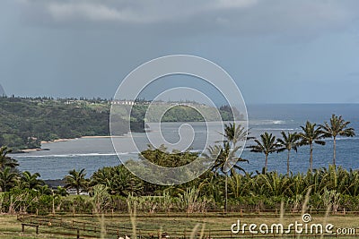 The coast along Kilauea Point, Kauai Stock Photo