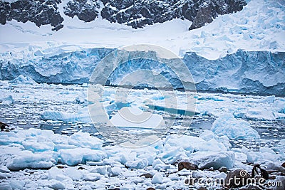 Coast Antarctica with ices and icebergs of unusual forms, colors Stock Photo