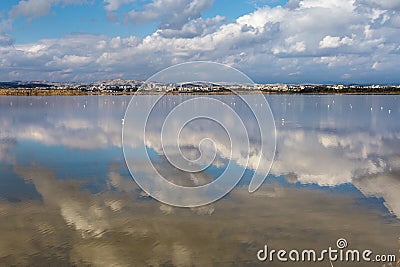 The coast of Cyprus near the ancient city of Curio, Limassol s Stock Photo