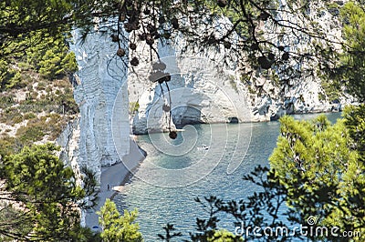 The coast of Gargano National park on Puglia Stock Photo