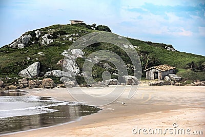 coast landscape with a seagull Stock Photo