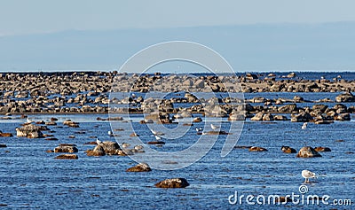 Coast on Oland Sweden Stock Photo