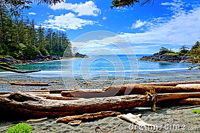 Coast of Pacific Rim National Park, Vancouver Island, BC, Canada Stock Photo