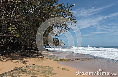 Coast with rock at Punta Manzanillo in Gandoca Manzanillo National Wildlife Refuge, Costa Rica Stock Photo