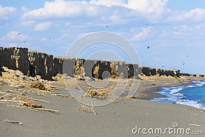 Coast of the salty lake Stock Photo