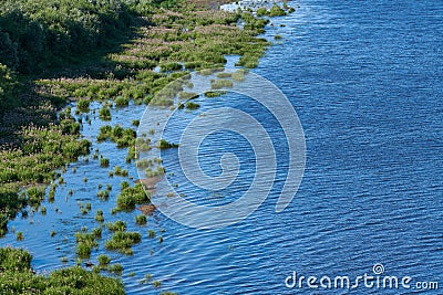 Coast of sea island edge, aerial top view. Densely green jungle peninsula, copy space. Pure, clean and calm blue water. Virgin Stock Photo