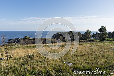 The coast of Sonabia Stock Photo