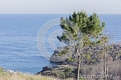 The coast of Sonabia Stock Photo