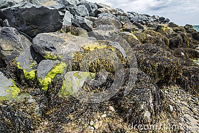 Coast stones wild beach in Ireland Stock Photo