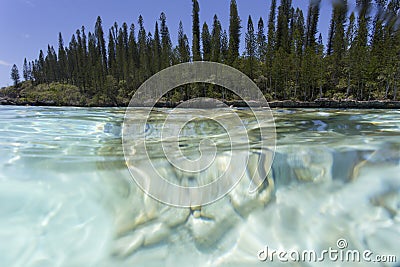 The coast view at ile des pins Stock Photo