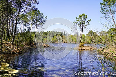 Coast view shore and water trees reflexion of Hostens lake in gironde Stock Photo