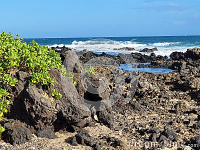 Coast Waikiki Hawaii Lava Rock Stock Photo