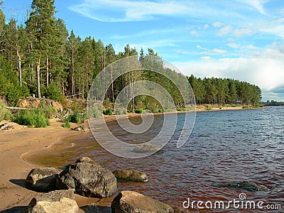 Coast of wood lake. Stock Photo