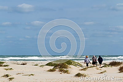 Coastal dunes Editorial Stock Photo