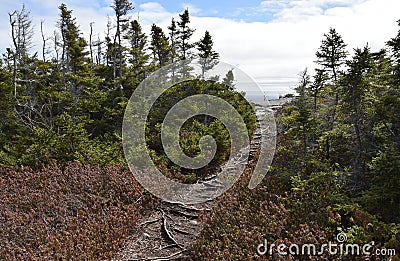 Spring landscape along the Father Troy`s Trail in Newfoundland Canada, near Flatrock Stock Photo