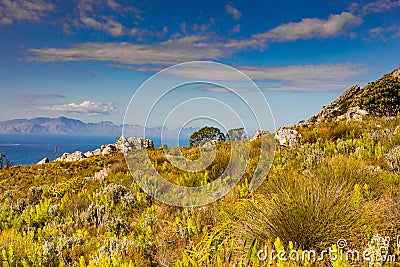 Coastal mountain landscape with fynbos flora in Cape Town Stock Photo