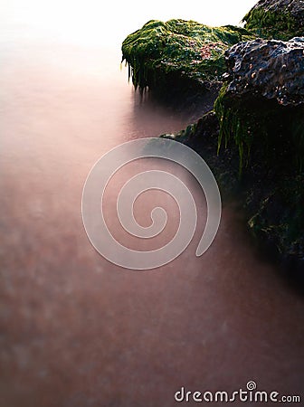 Coastal ocks covered with green sea weed and a lot of copyspace on defocused water surface looks like fog Stock Photo