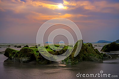 Coastal Rocks and Seaweed, Captivating Oceanic Landscape with Vibrant Marine Life, Serene Beauty of Underwater Flora, Natural Stock Photo