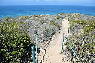 Coastal Sage Community in the Dana Point Headlands Conservation area.. Stock Photo