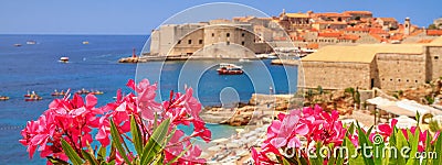 Coastal summer landscape, banner - view of the blooming oleander and the Old Town of Dubrovnik Stock Photo