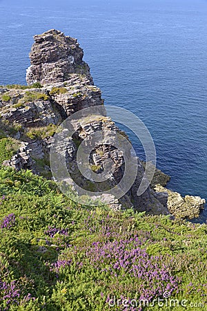 Coastline of Cap FrÃ©hel in France Stock Photo