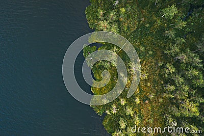 Coastline view from the drone, green forest on the coast Stock Photo