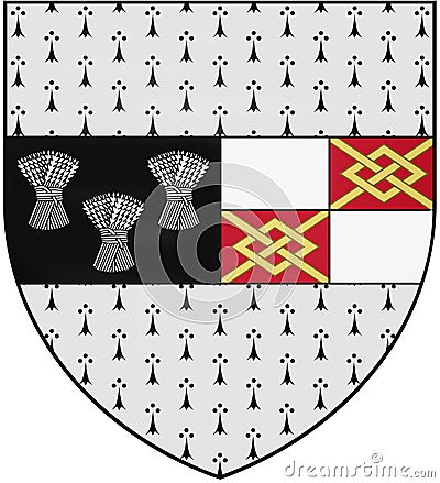 Coat of arms of County Kilkenny. Ireland. Stock Photo