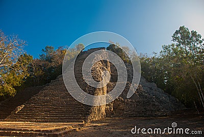 Coba, Mexico, Yucatan: Mayan Nohoch Mul pyramid in Coba. Upstairs are 120 narrow and steep steps. Stock Photo