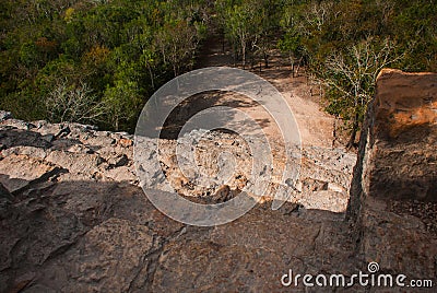 Coba, Mexico, Yucatan: Mayan Nohoch Mul pyramid in Coba. Upstairs are 120 narrow and steep steps. Stock Photo