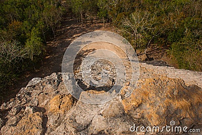 Coba, Mexico, Yucatan: top view of the jungle from the great pyramid of Coba Nohoch Mul Stock Photo