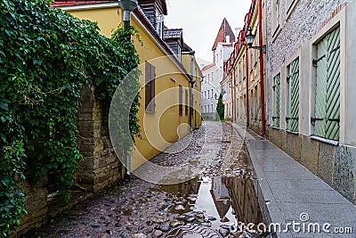 Cobbled alley with puddles after raining in Tallinn Stock Photo