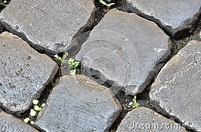 Italy. Cobbled floor in the city of Rome. HDR image Stock Photo