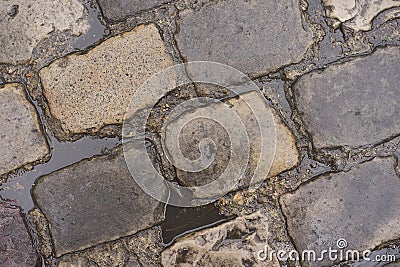 Cobblestone Road with Water Puddles Stock Photo