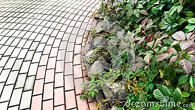 Cobblestone stone sidewalk with flower bed. Landscaping of town Stock Photo